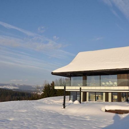 Villa Panorama - Szklany Dom ยาโวซินกา ภายนอก รูปภาพ