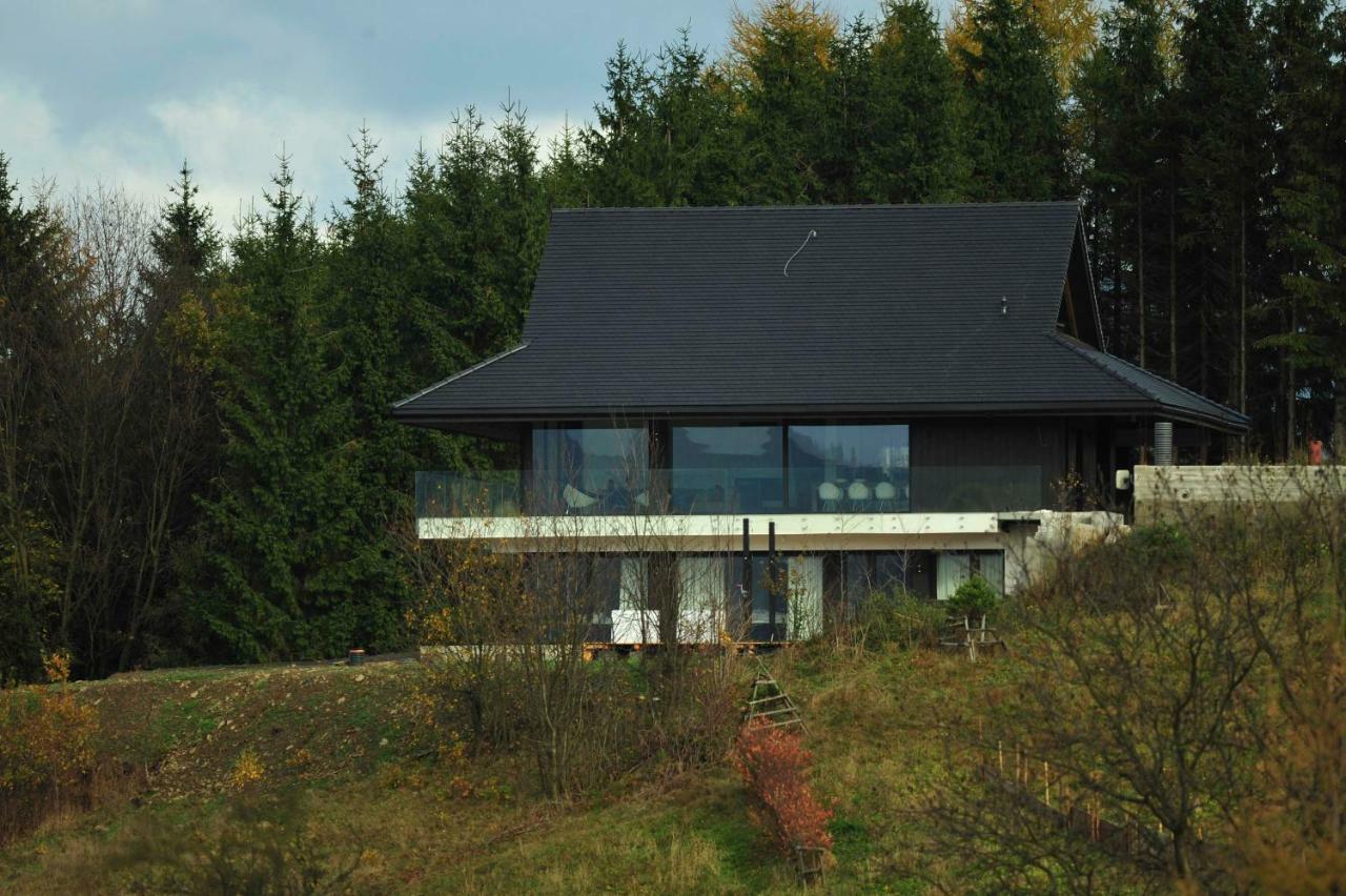 Villa Panorama - Szklany Dom ยาโวซินกา ภายนอก รูปภาพ