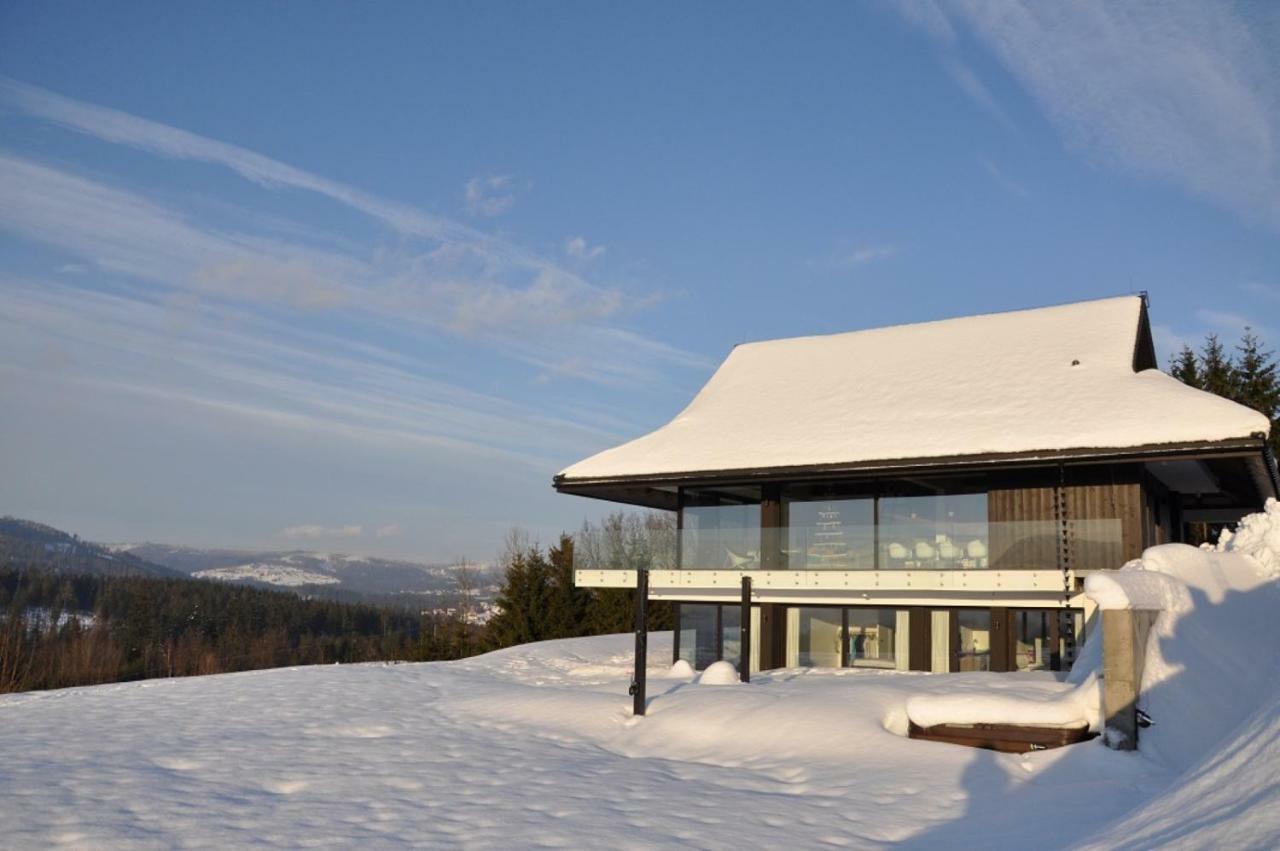 Villa Panorama - Szklany Dom ยาโวซินกา ภายนอก รูปภาพ