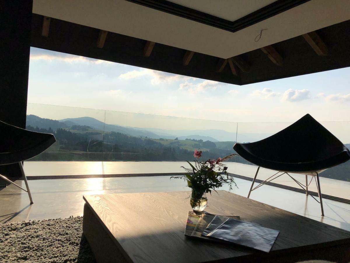 Villa Panorama - Szklany Dom ยาโวซินกา ภายนอก รูปภาพ