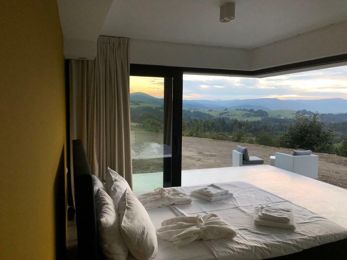 Villa Panorama - Szklany Dom ยาโวซินกา ภายนอก รูปภาพ