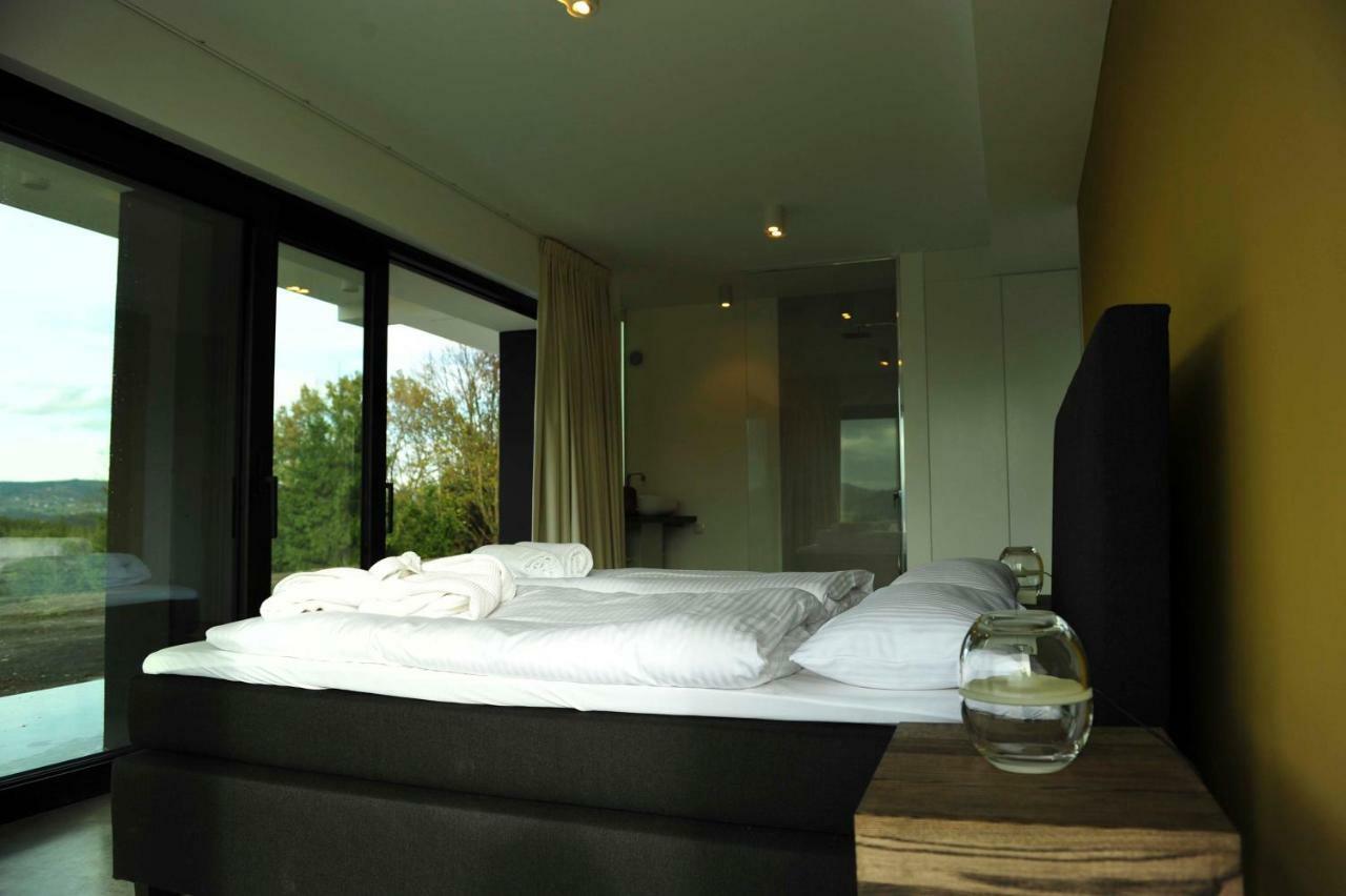 Villa Panorama - Szklany Dom ยาโวซินกา ภายนอก รูปภาพ